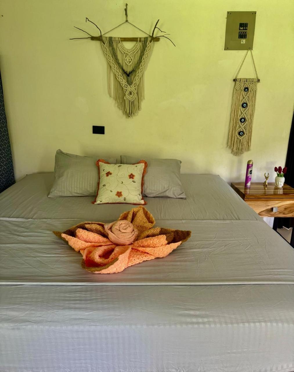 Deer House Cabuya Apartment Cabuya  Bagian luar foto